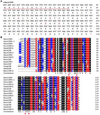 Functional Analysis of the Chemosensory Protein GmolCSP8 From the Oriental Fruit Moth, Grapholita molesta (Busck) (Lepidoptera: Tortricidae)